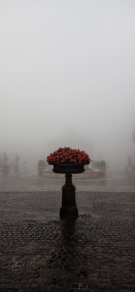 Tải ngay bộ hình nền chủ đề sương mù dành cho iPhone