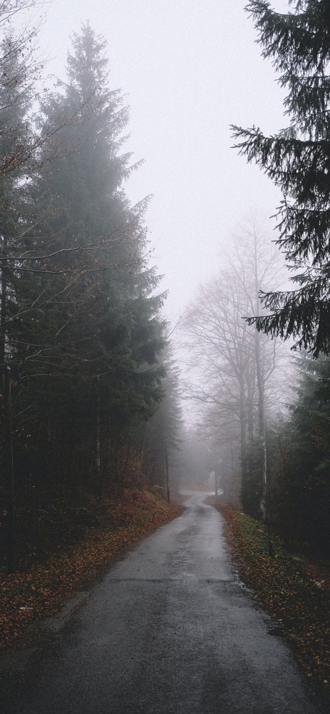 Tải ngay bộ hình nền chủ đề sương mù dành cho iPhone