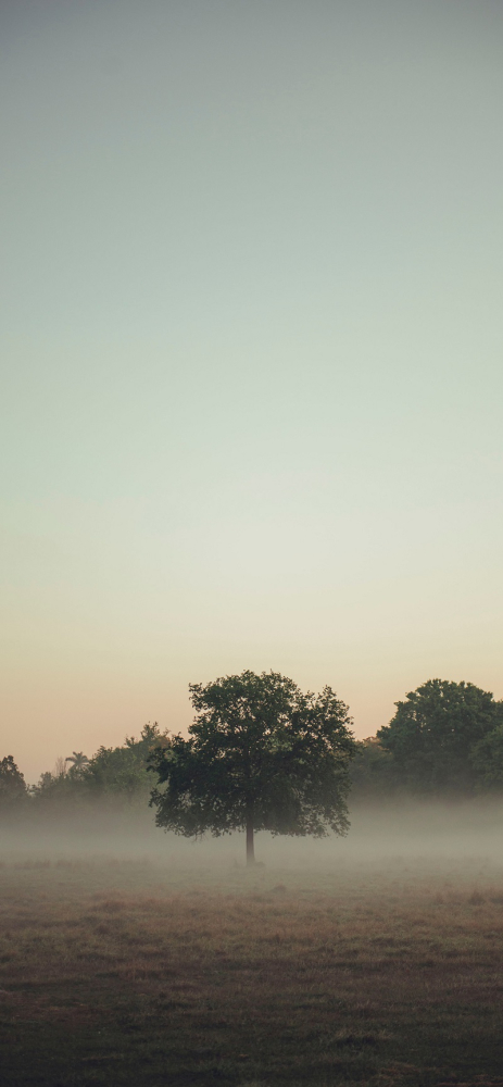 Tải ngay bộ hình nền chủ đề sương mù dành cho iPhone