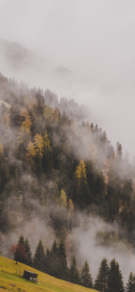 Tải ngay bộ hình nền chủ đề sương mù dành cho iPhone