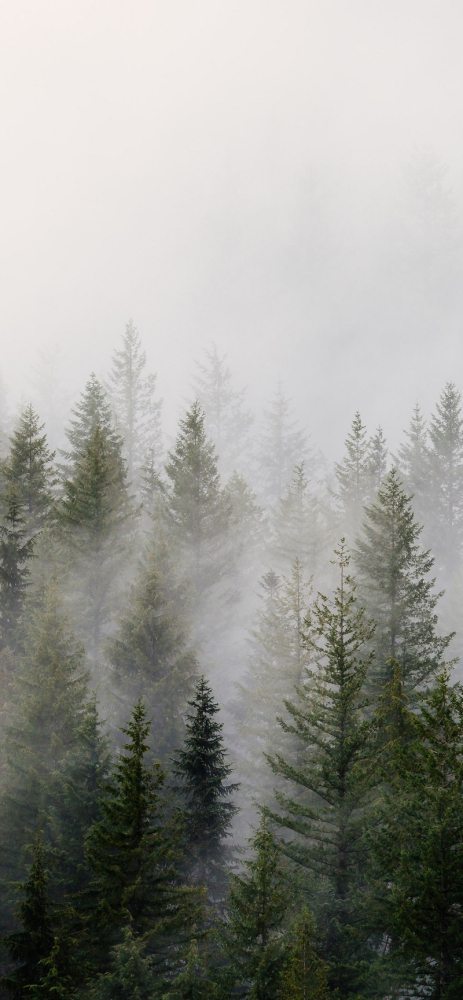 Tải ngay bộ hình nền chủ đề sương mù dành cho iPhone