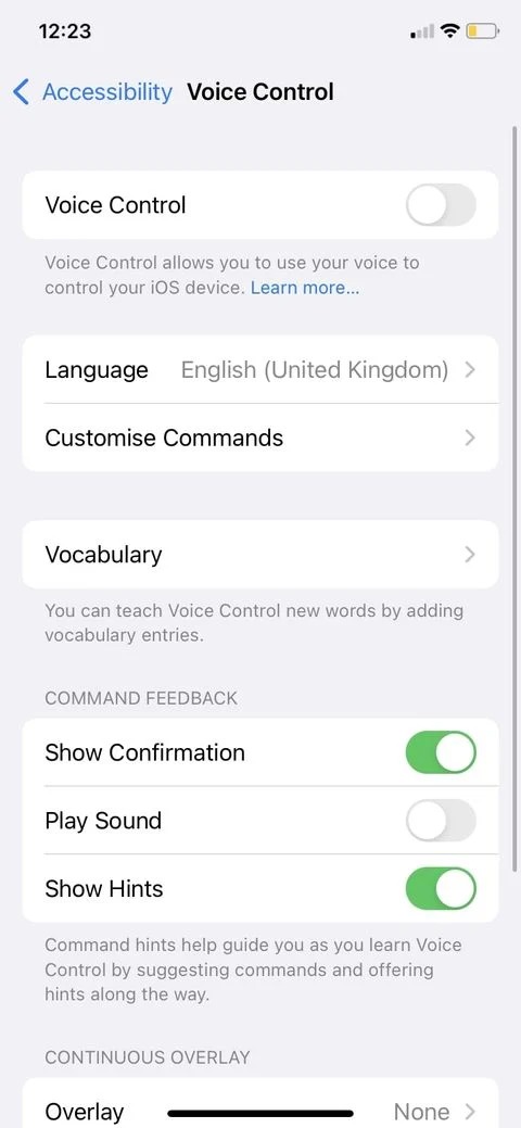 Tổng quan về tất cả các tính năng trợ năng tuyệt vời trên iPhone