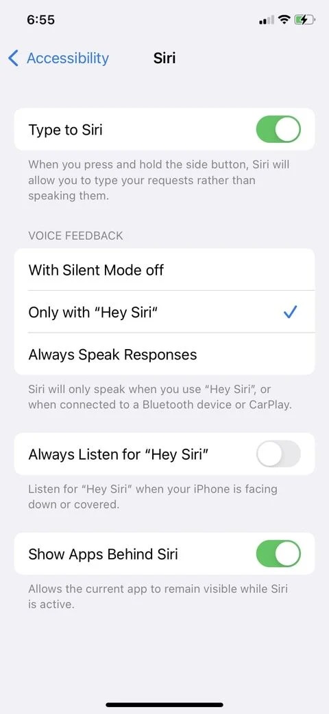 Tổng quan về tất cả các tính năng trợ năng tuyệt vời trên iPhone