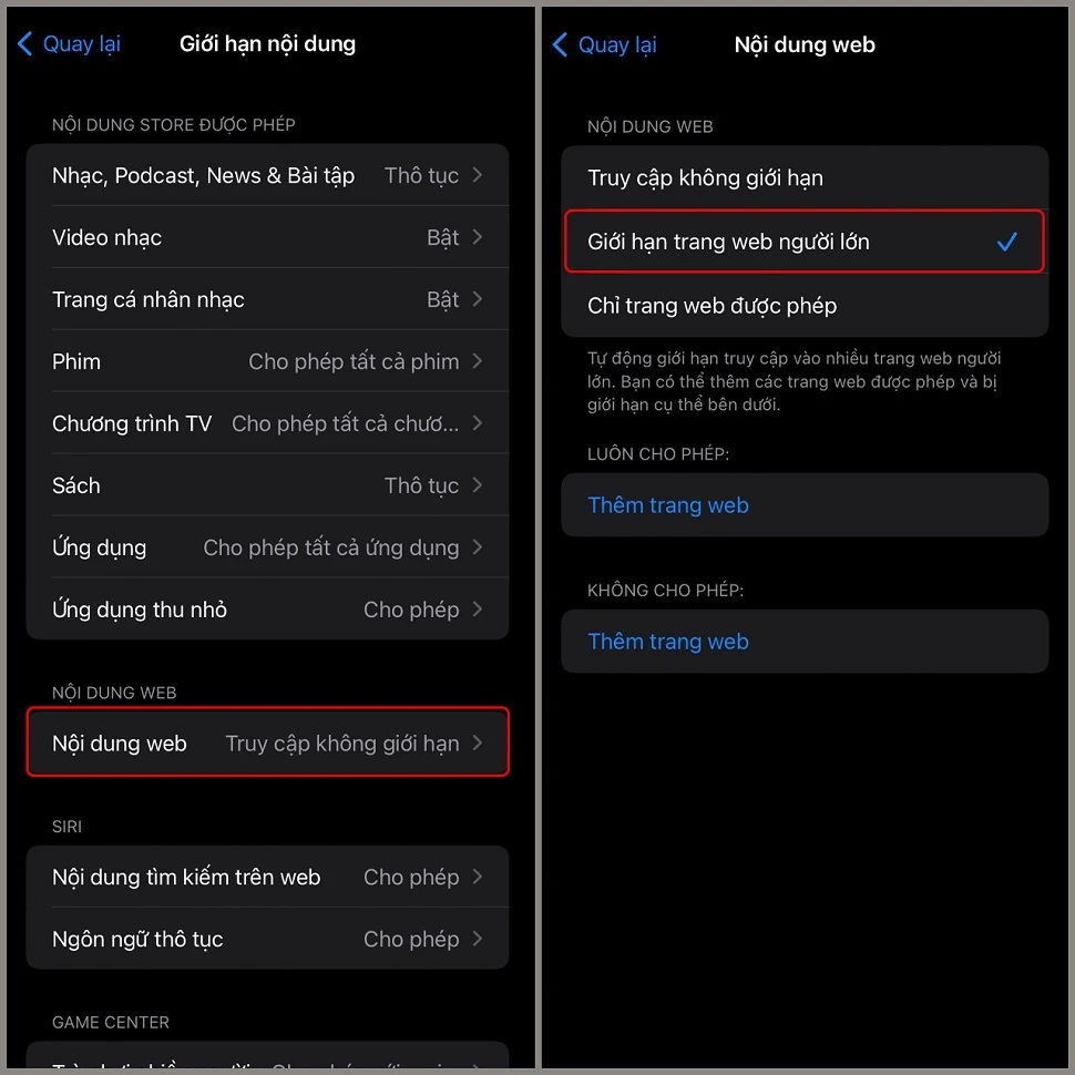 Hướng dẫn chặn các treng web đen trên iPhone