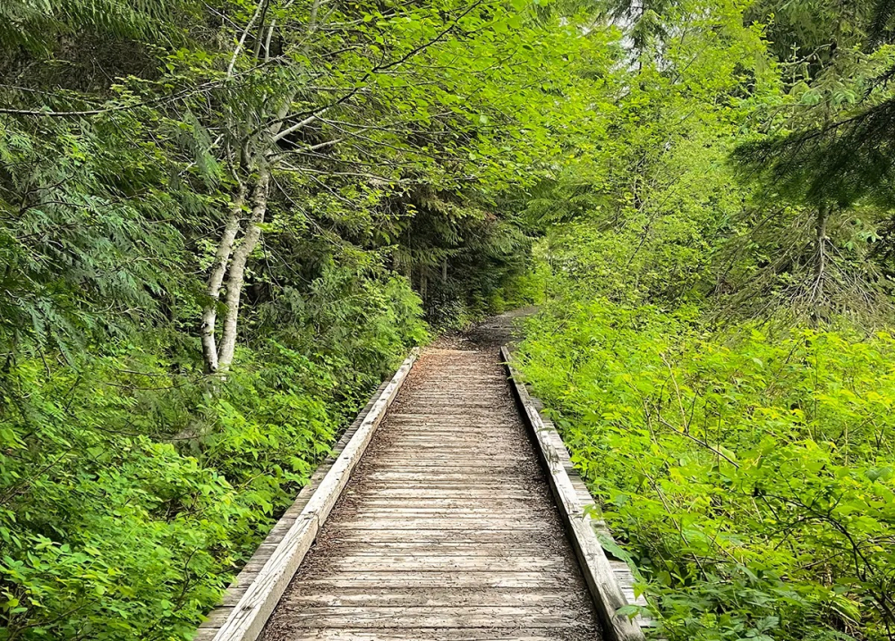 Cách chụp ảnh chuyên nghiệp bằng iPhone như một nhiếp ảnh gia