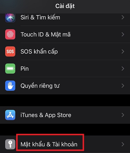 Vào phần Cài đặt (Setting)> chọn Mật khẩu & Tài khoản (Password).