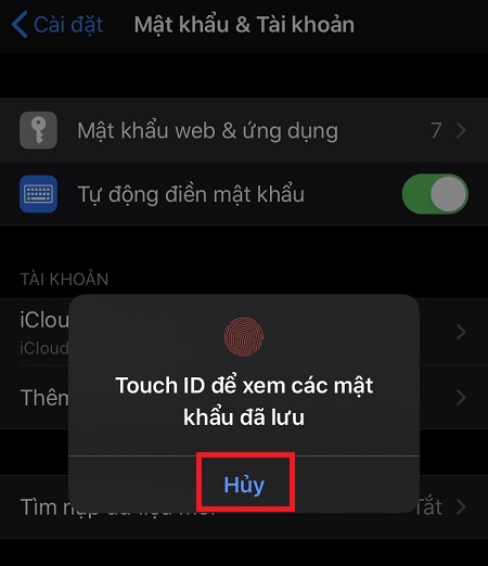vào phần Cài đặt (Setting) > chọn mục Mật khẩu & Tài khoản (Password & Account).