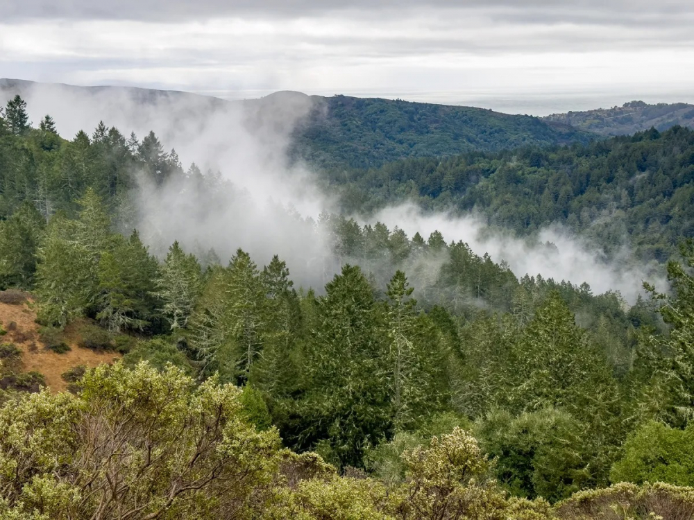 Đánh giá camera iPhone 14 Pro: Một bước nhảy vọt cho những người đam mê chụp ảnh