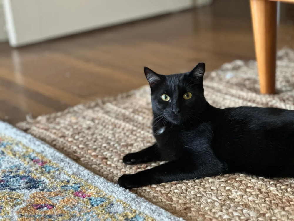 Đánh giá chi tiết camera iPhone 14 Pro: Vị vương mới trên thị trường di động với cải tiến đáng kể