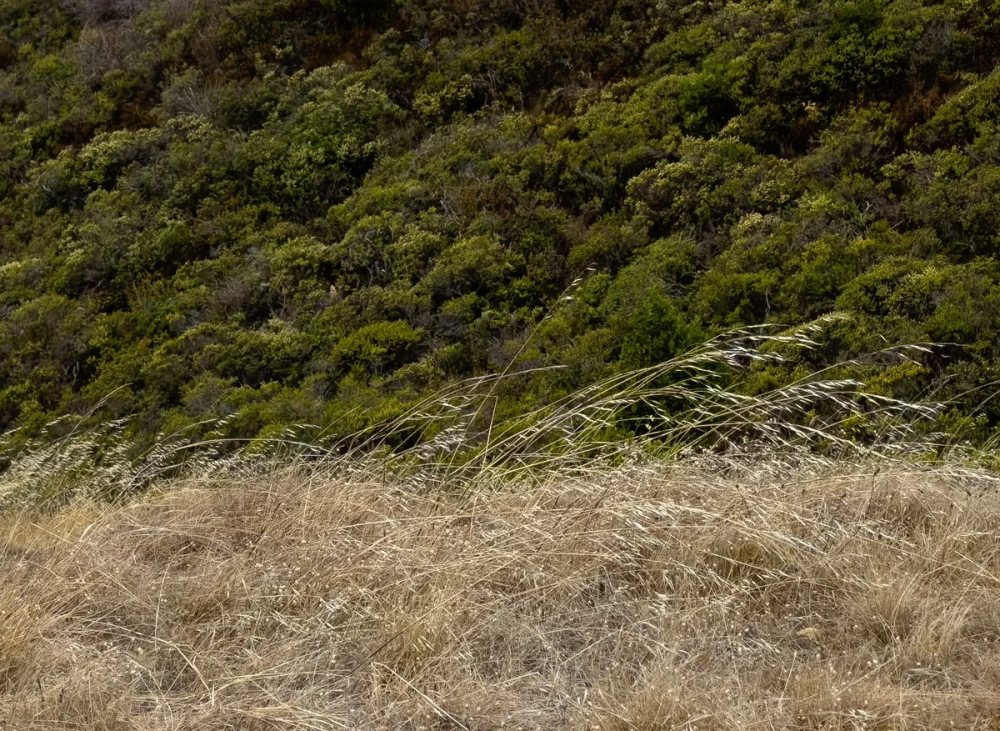 Đánh giá camera iPhone 14 Pro: Một bước nhảy vọt cho những người đam mê chụp ảnh