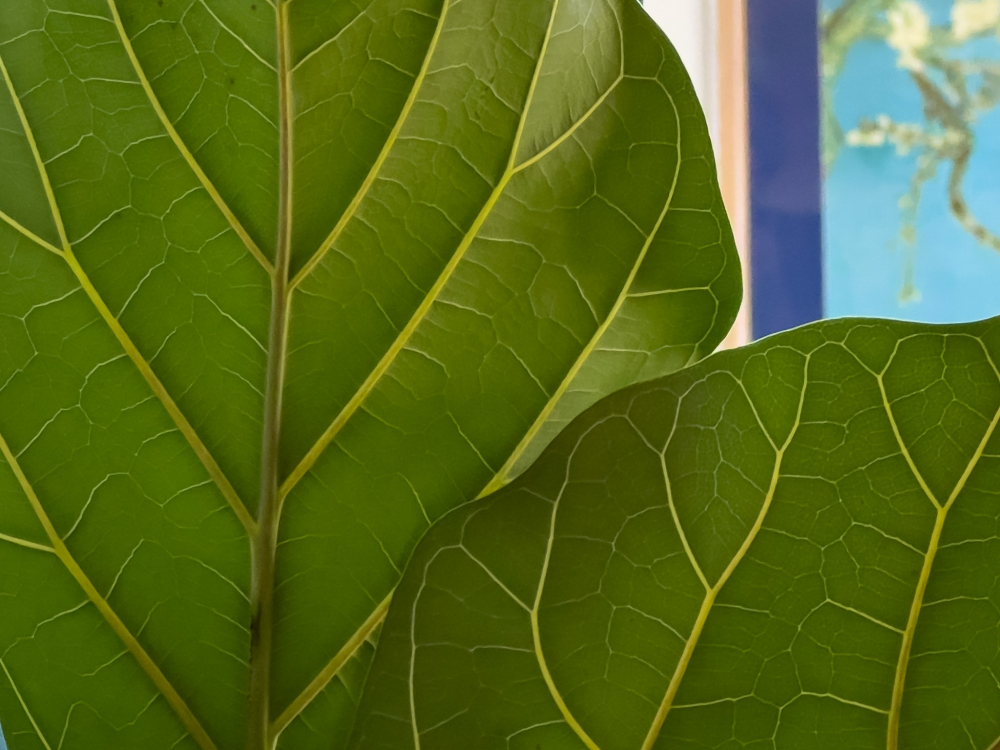 Đánh giá camera iPhone 14 Pro: Một bước nhảy vọt cho những người đam mê chụp ảnh