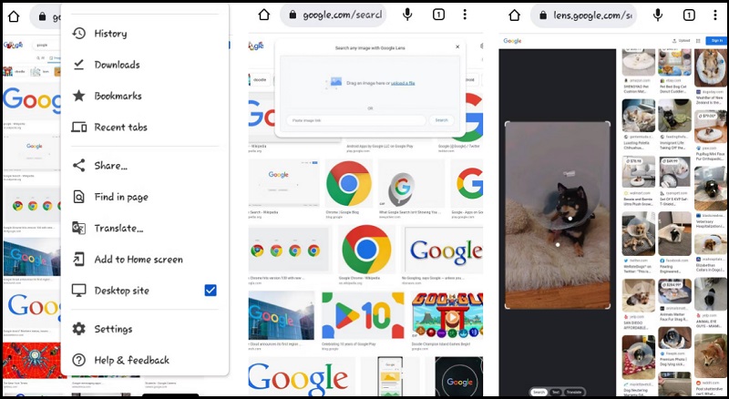 Ứng dụng tìm kiếm hình ảnh trực tiếp của Google