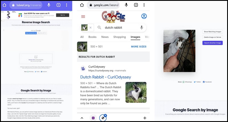 Ứng dụng tìm kiếm hình ảnh Reverse Photos Search