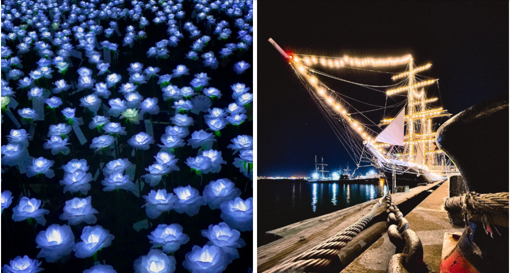 Chế độ Night Mode (ban đêm) trên iPhone: Cách sử dụng và những bức ảnh đẹp nhất