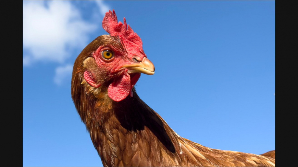 Mann đã đến Cao nguyên Scotland để thử nghiệm camera trong iPhone 14 Pro mới