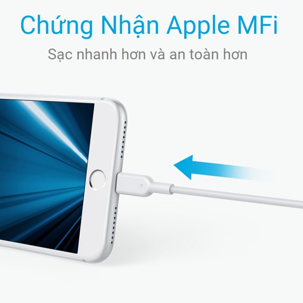 chứng nhận apple