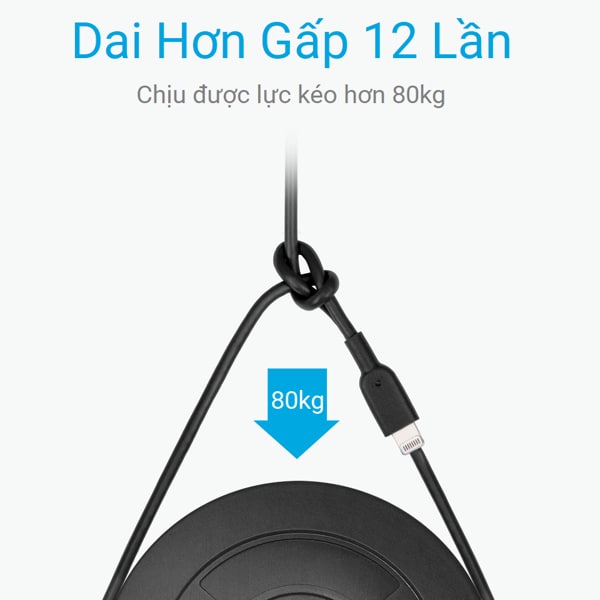 gấp 12