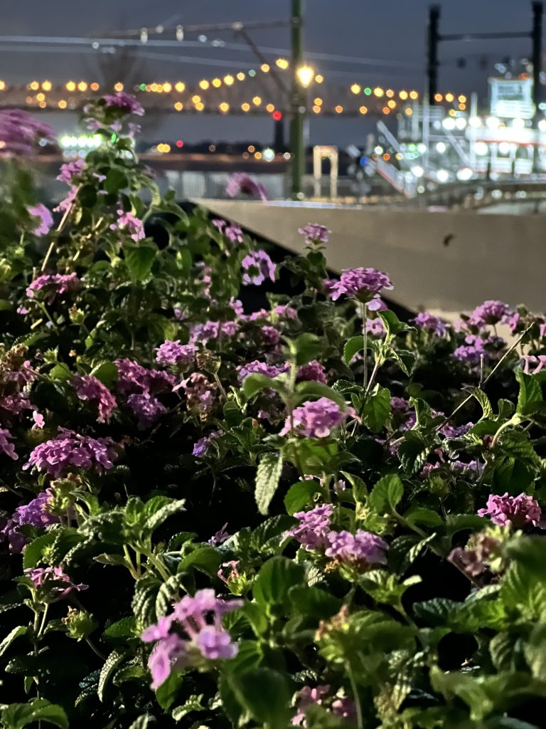 Camera iPhone 13 Pro