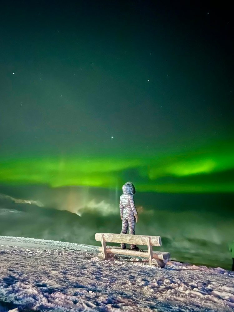 Magic of Aurora Borealis by Tatiana Merzlyakova