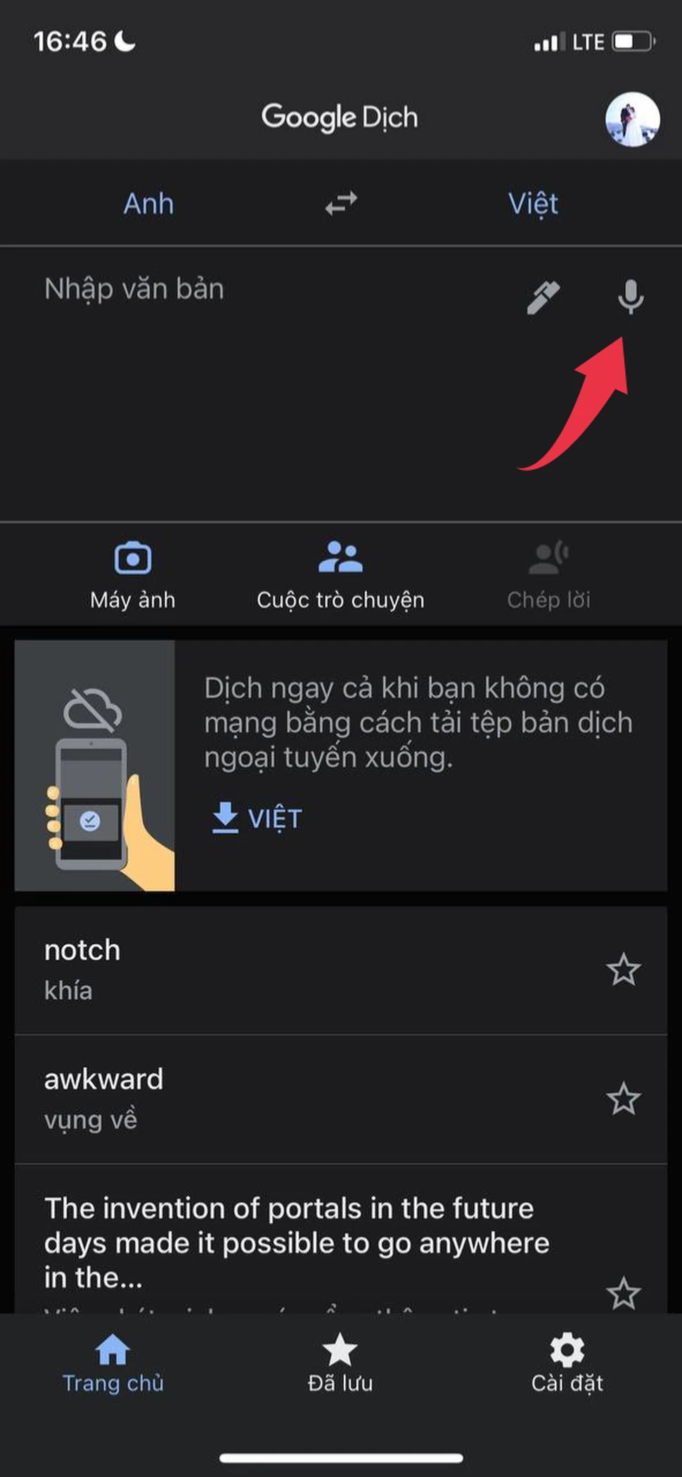 Google Dịch cho phép dịch văn bản