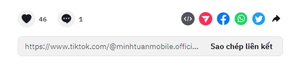 tải video tiktok tương tự snaptik