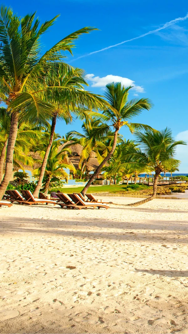 Đổi ngay hình nền iPhone 14 Pro Max 