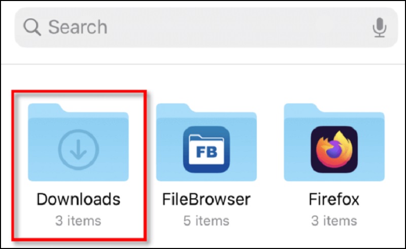 chọn mục Downloads