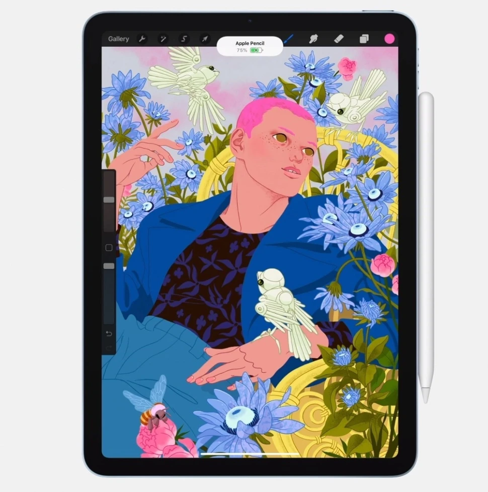 Gợi ý 4 chiếc iPad xịn giá rẻ cho dân mê vẽ 