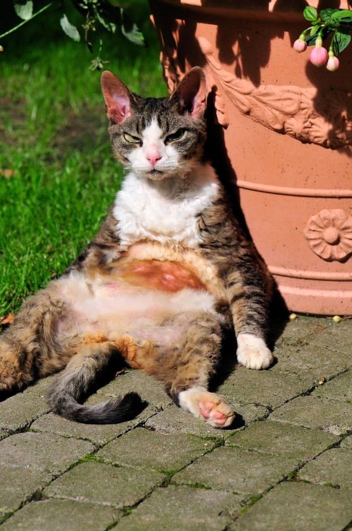 hình ảnh Mỹ Diệu ngồi bầy hầy