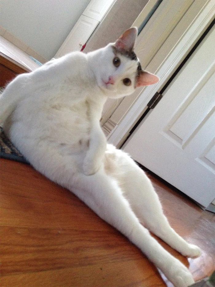 hình ảnh Mỹ Diệu ngồi bầy hầy