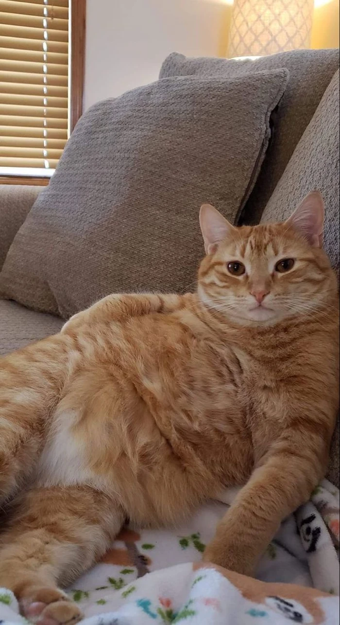 hình ảnh Mỹ Diệu ngồi bầy hầy