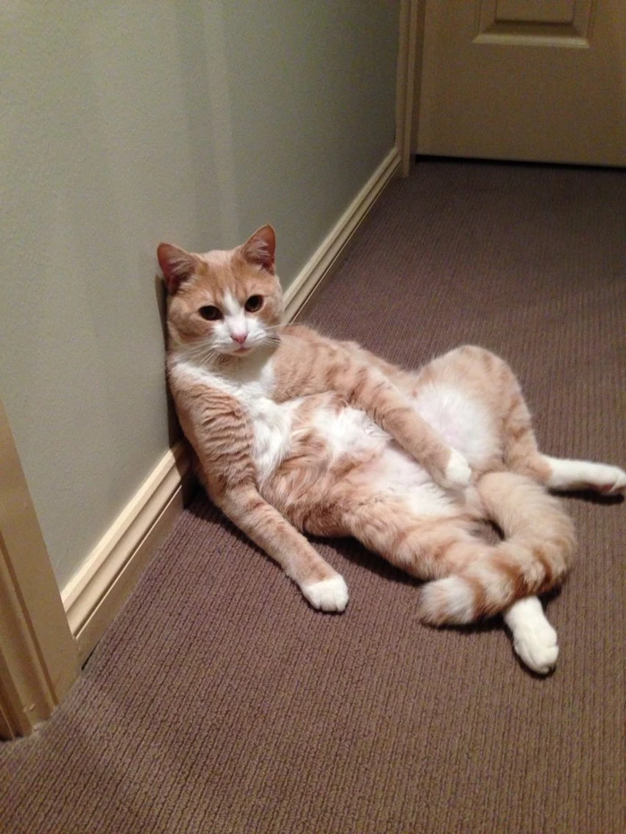 hình ảnh Mỹ Diệu ngồi bầy hầy