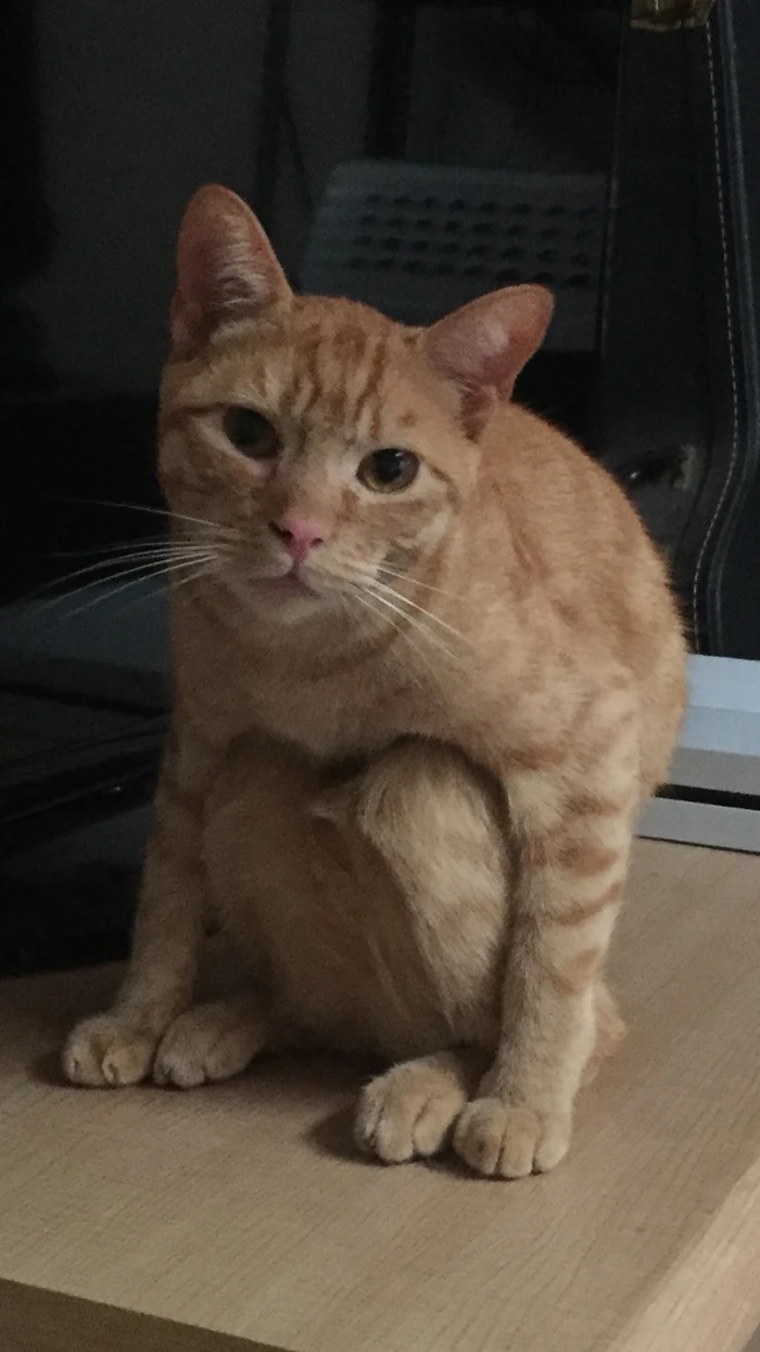 hình ảnh Mỹ Diệu ngồi bầy hầy