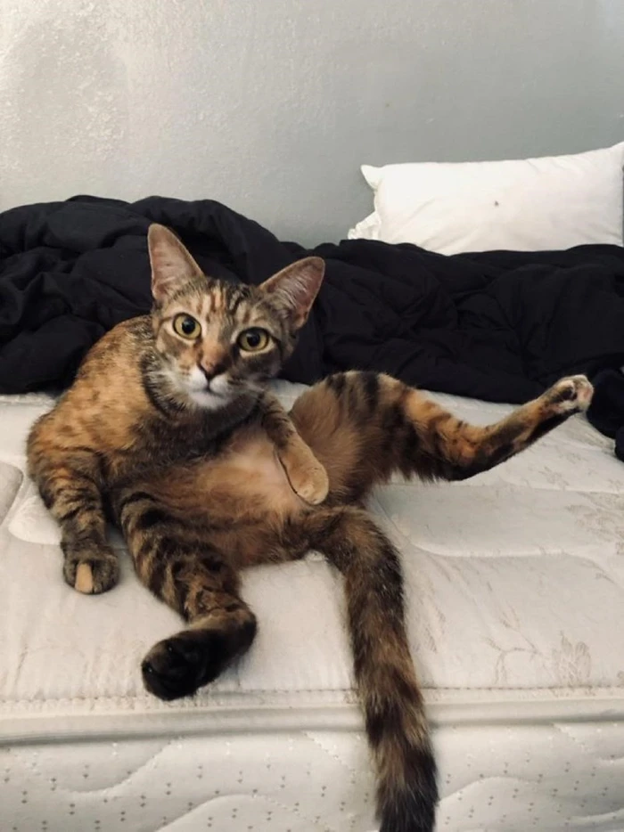 hình ảnh Mỹ Diệu ngồi bầy hầy