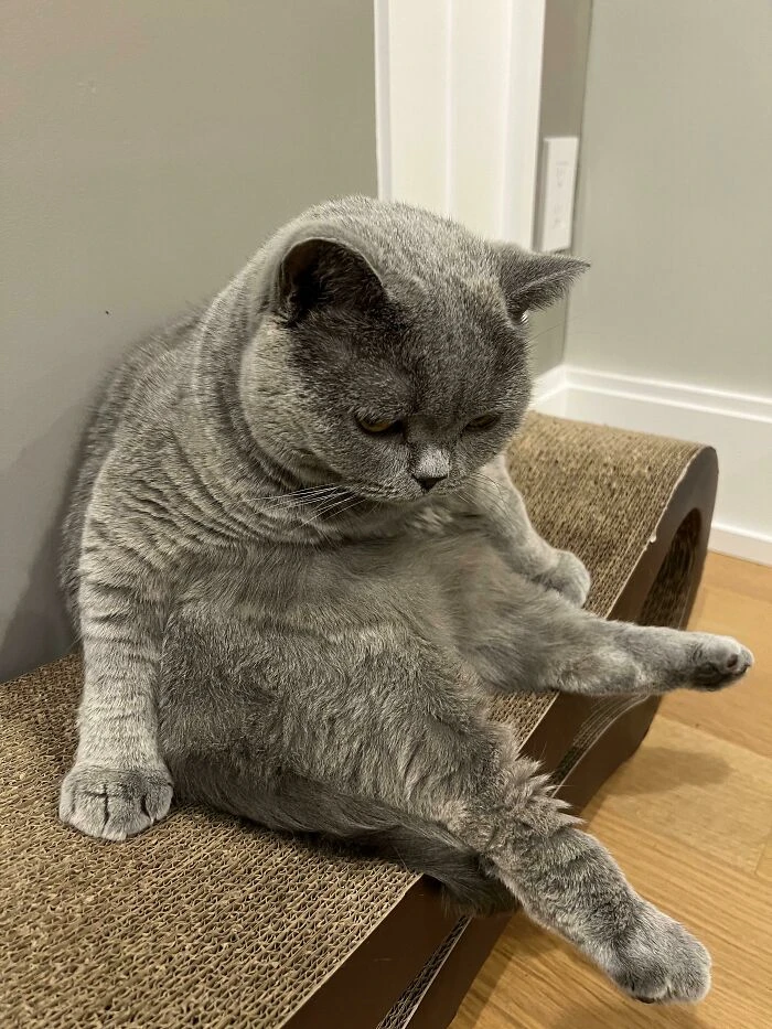 hình ảnh Mỹ Diệu ngồi bầy hầy