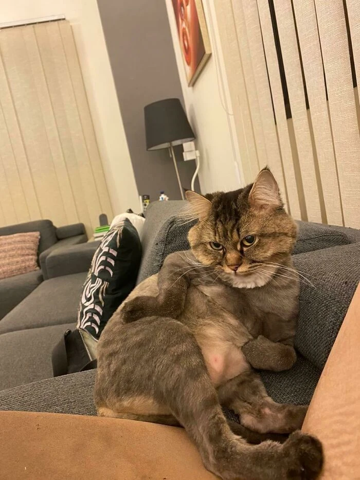 hình ảnh Mỹ Diệu ngồi bầy hầy