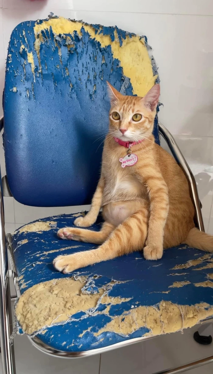 hình ảnh Mỹ Diệu ngồi bầy hầy