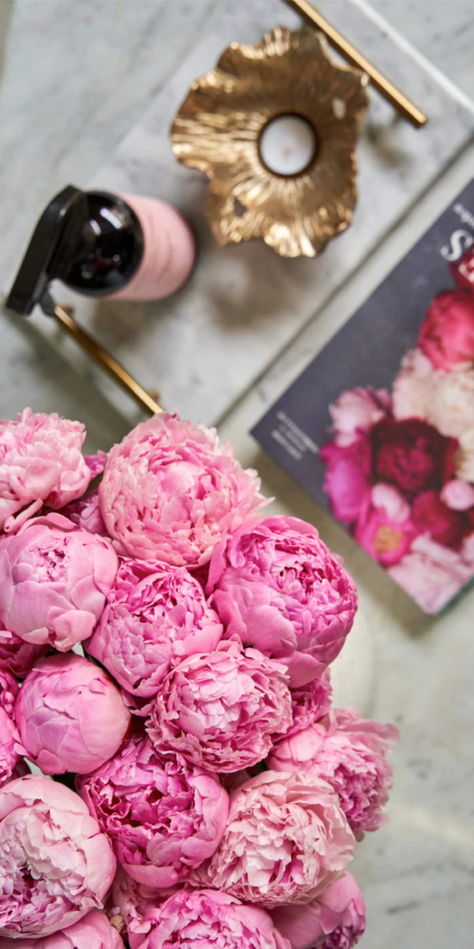 Hình đẹp hoa mẫu đơn thu hút tình yêu cho dân FA ngày Valentine