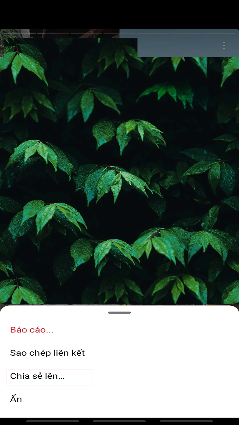 Bước 1: Ngay tại story muốn chia sẻ bạn > ấn vào dấu 3 chấm đứng ở góc trên bên phải > Tiếp theo chọn vào mục Chia sẻ lên.