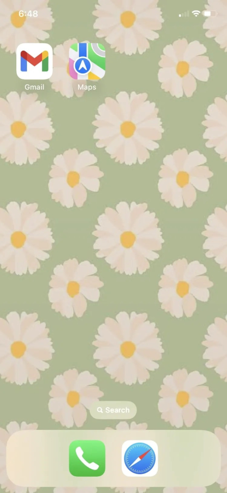 huong-dan-su-dung-apple-maps-cho-nguoi-moi