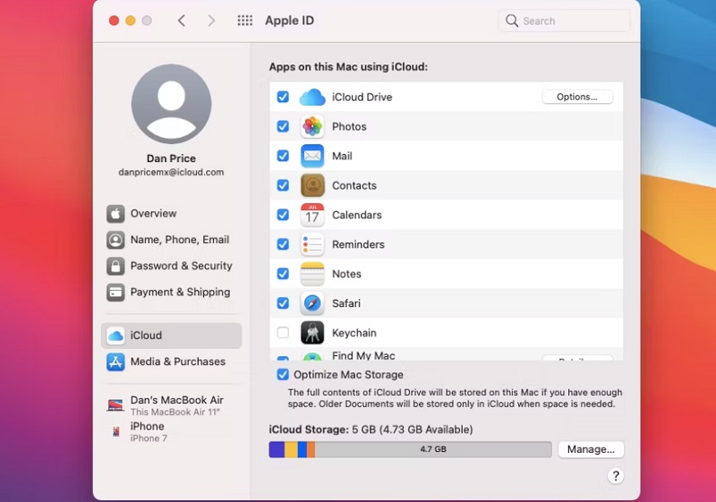 Chắc chắn đã bật iCloud cho ứng dụng đang sử dụng
