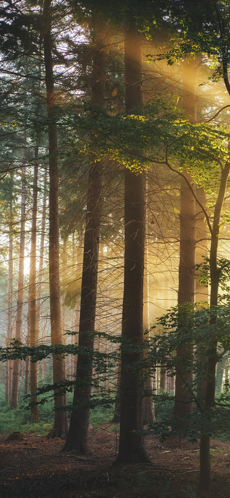 Sforum - Trang thông tin công nghệ mới nhất ingmar-X4iOjmLEcjY-unsplash Mời bạn đọc tải về bộ hình nền chủ đề thiên nhiên dành cho iPhone (Phần 2) 