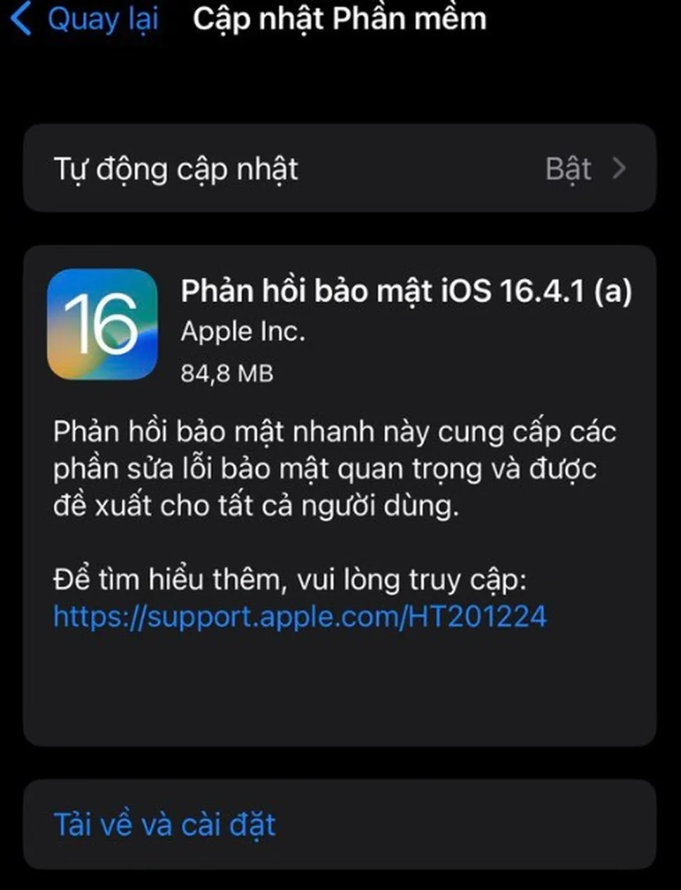 iOS 16.4.1 (a)