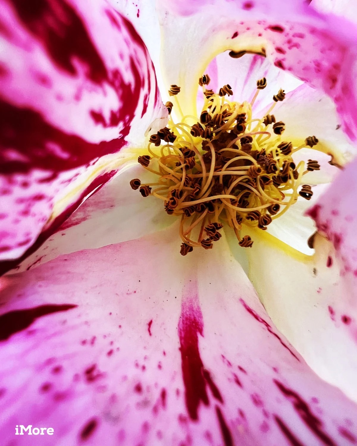 Đánh giá iPhone 13 Pro sau 6 tháng trải nghiệm