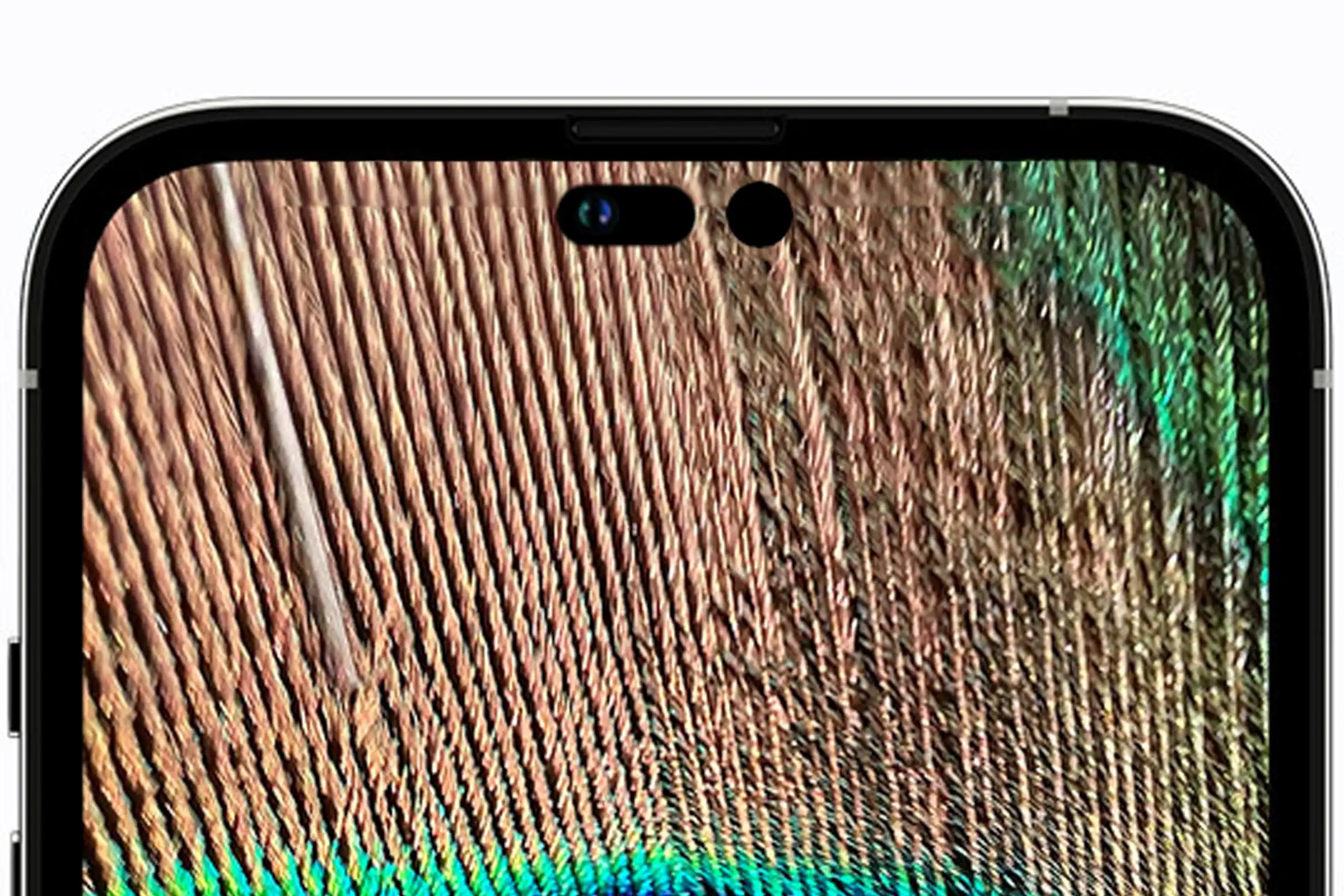 iPhone 14 camera selfie