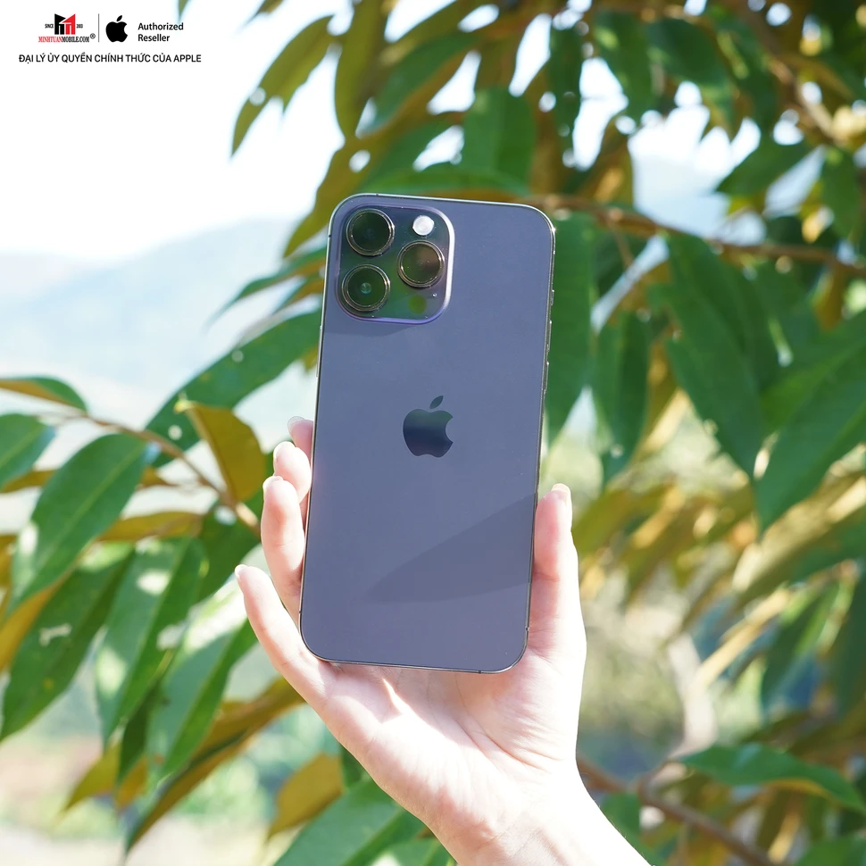 Quà tặng 8/3 mang sắc tím thời thượng