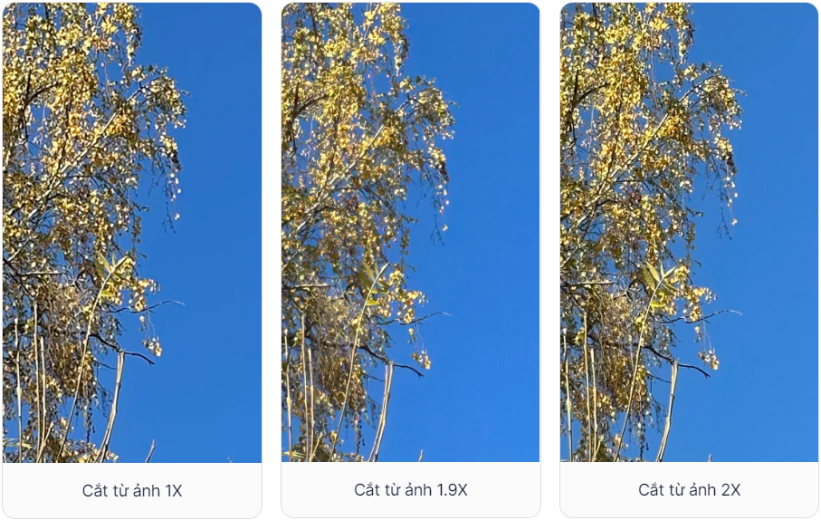 Giải thích về khả năng zoom 2X trên iPhone 14 Pro: Có thực sự là một điểm nhấn đáng tiền?