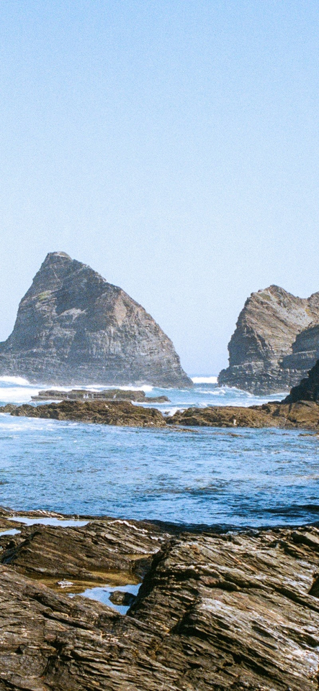 Sforum - Trang thông tin công nghệ mới nhất jamie-lee-grady-GZI_Z_FnC6w-unsplash Mời bạn đọc tải về bộ hình nền chủ đề thiên nhiên dành cho iPhone (Phần 2) 