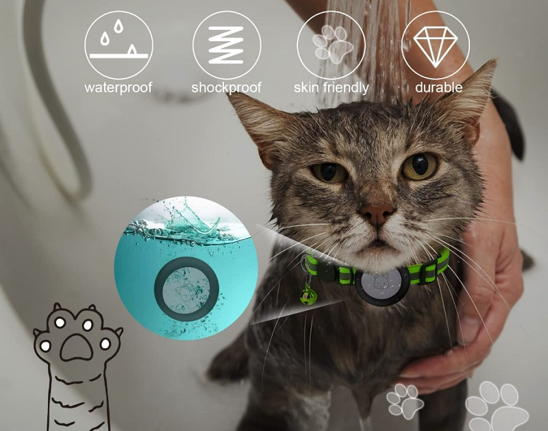 Gắn AirTag lên vòng cổ cho mèo nhà bạn