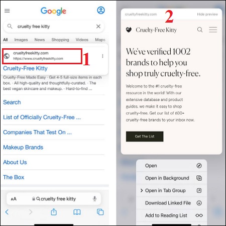 Xem trước trang web trên Safari